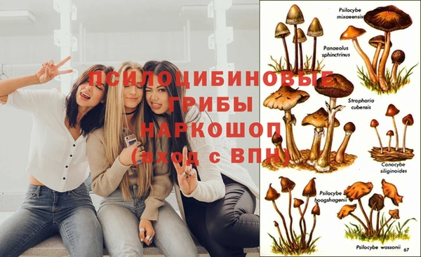 каннабис Магадан