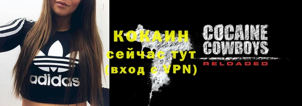 гидра Майский