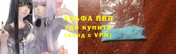 гидра Майский