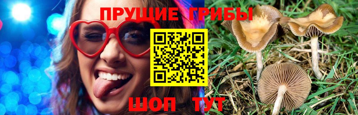 Псилоцибиновые грибы Magic Shrooms  Новоуральск 